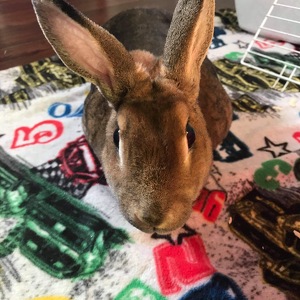 Fundraising Page: Keri-Eve Galipeau